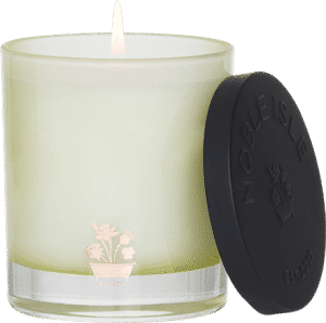 Willow Song Fine Fragrance Candle & Snuffer by Noble Isle
